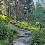 Hotel Alpina Rauris