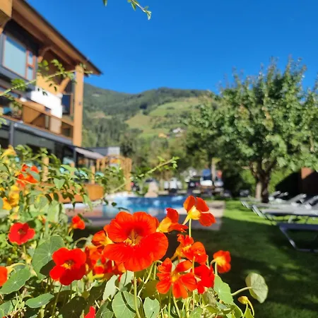 Alpina Hotel 4*