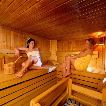 Hotel Alpina Rauris