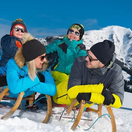 Hotel Alpina 4*